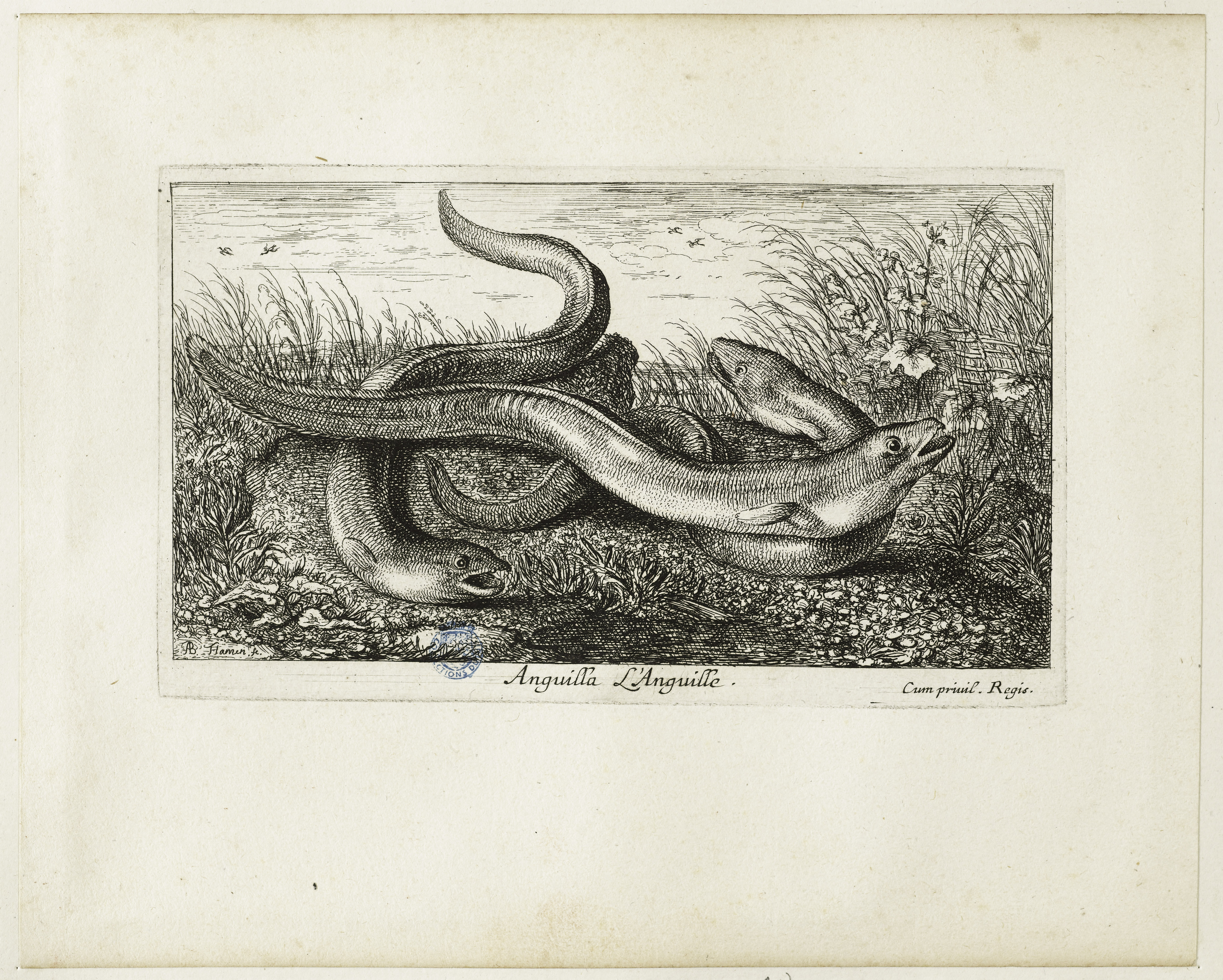 Auteur(s):

Flamen, Albert (vers 1620 - après 1674), aquafortiste


Autre titre:

Huitième numéro d'une suite de 12 pièces (Sous-titre)
Datation en si