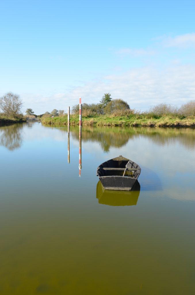 Grand-Lieu lake, view from Passay - La Chevrolière (Loire-Atlantique) - France