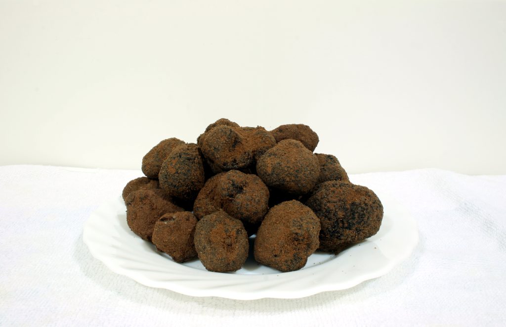 Tuber melanosporum - black truffle, Ágreda, Spain
