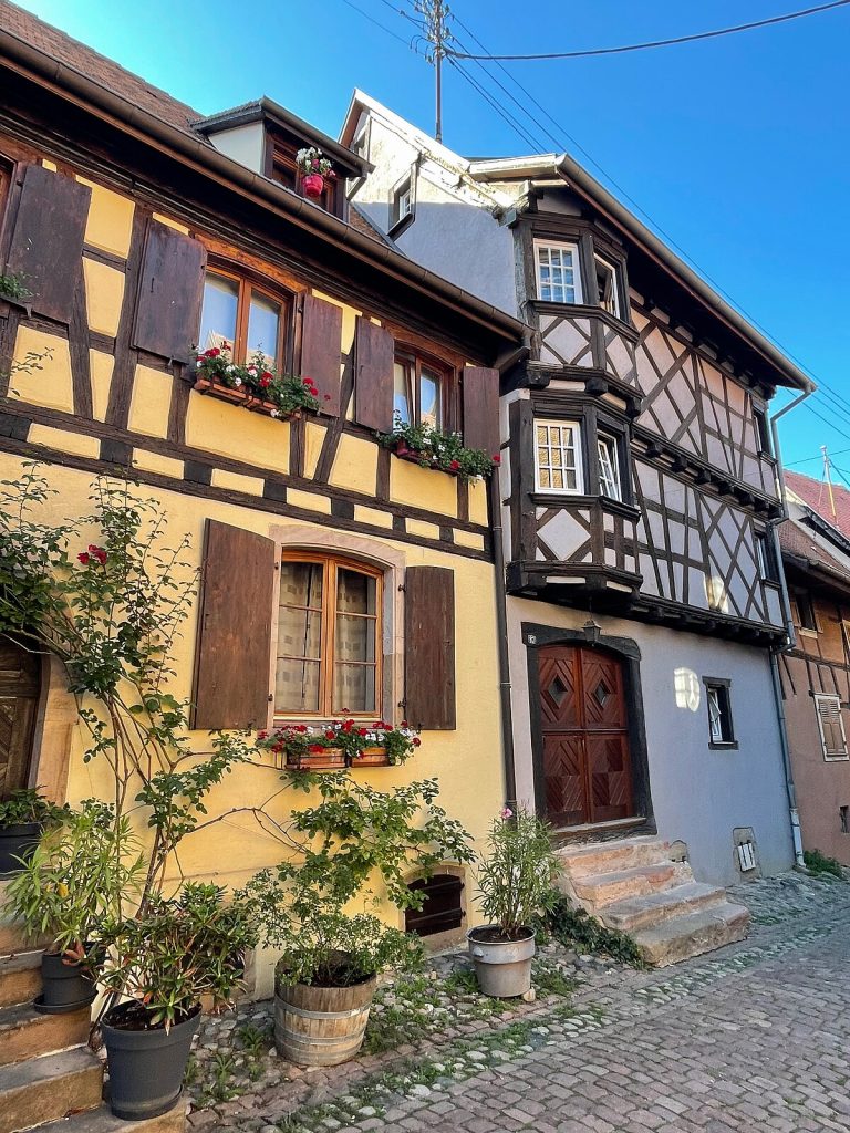 Fête du Champignon d'Eguisheim