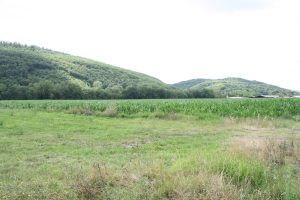 Martres-Tolosane et Mauran, Haute-Garonne, France. La campagne à Chiragan au sud du bourg. Vue vers le sud-ouest sur la vallée de la Garonne. La Garon
