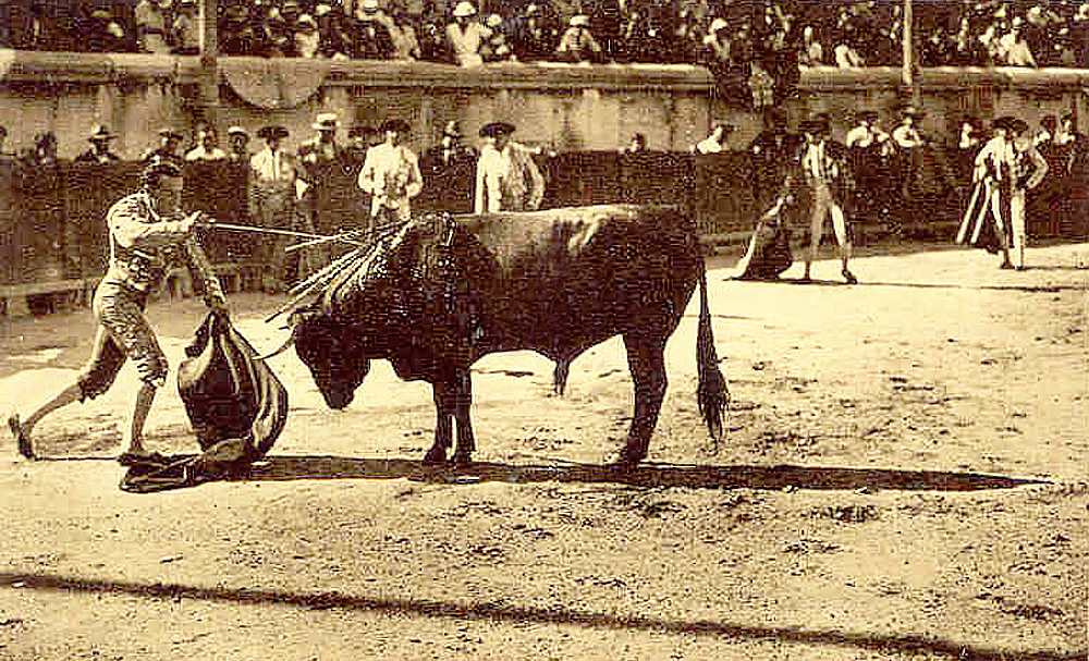 Scène de corrida lors de la féria de Nîmes dans les arènes romaines