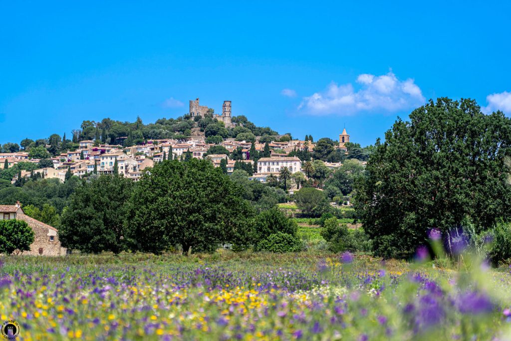 Grimaud