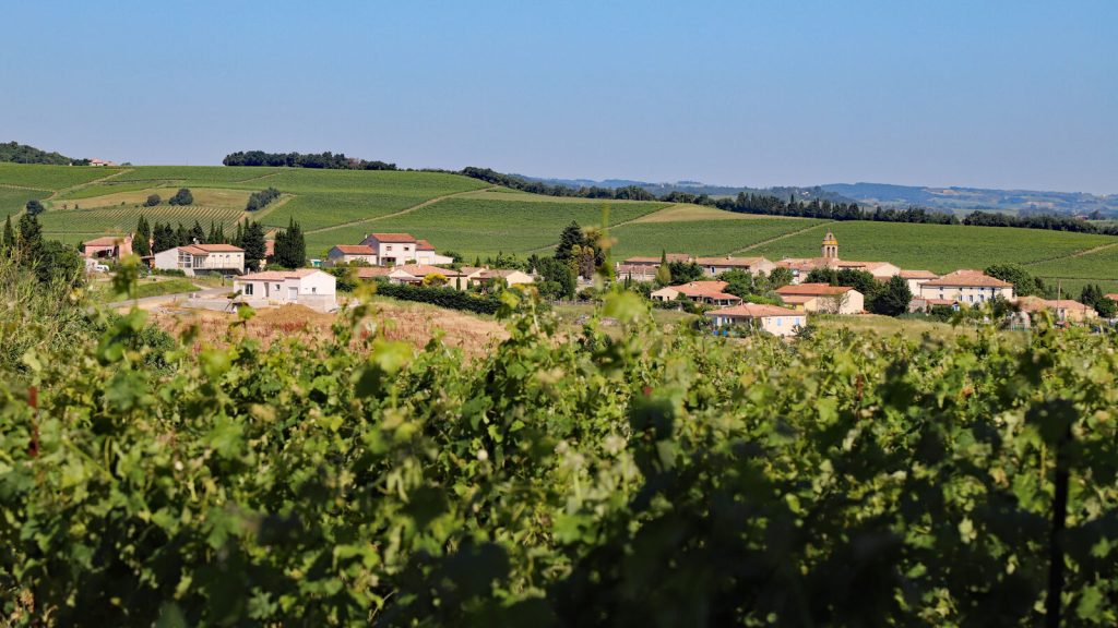 Gaja-Et-Villedieu