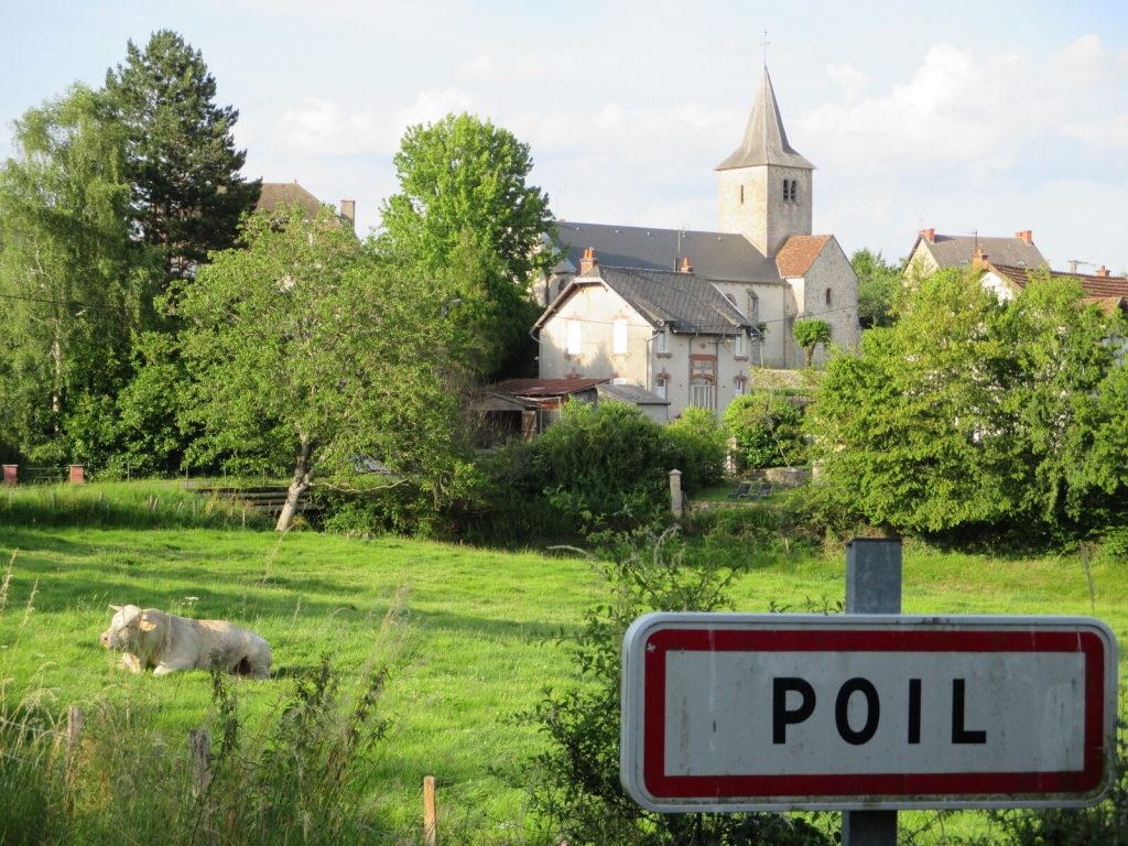 Poil