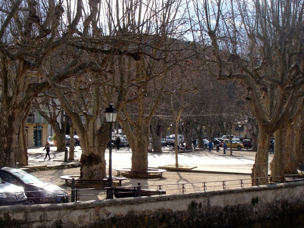 Auriol