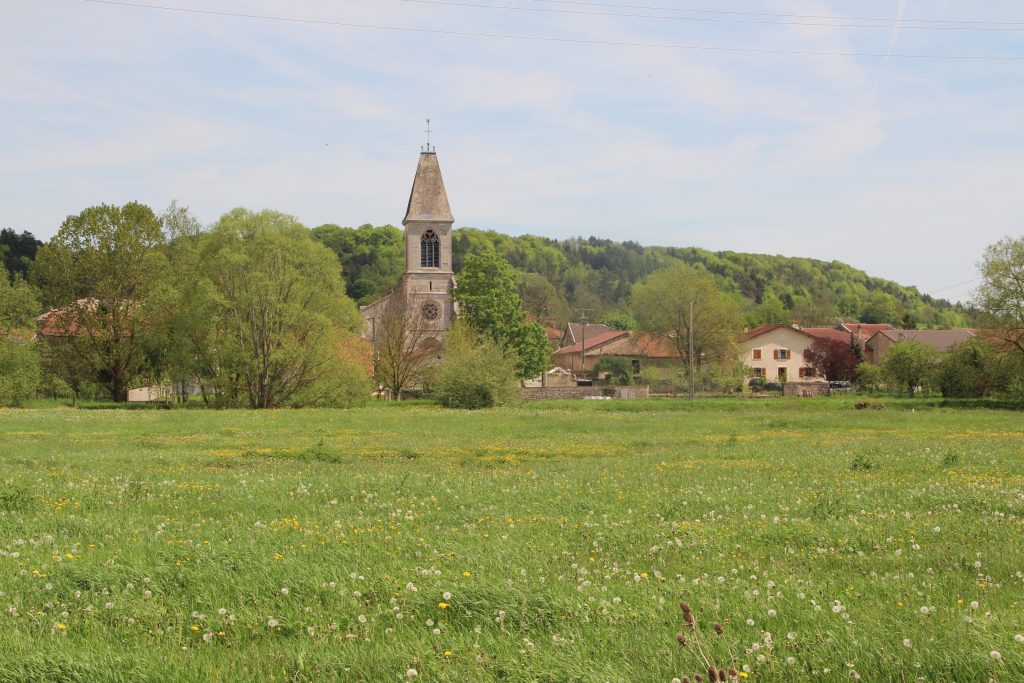 Sauvigny